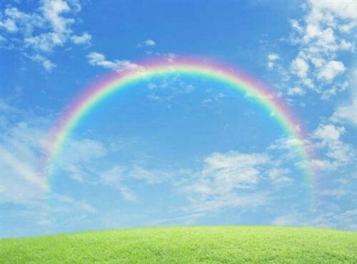 风雨彩虹表情图片