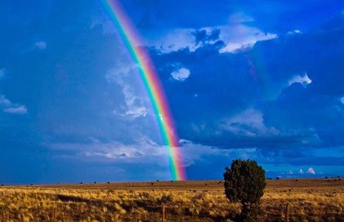 风雨彩虹表情图片