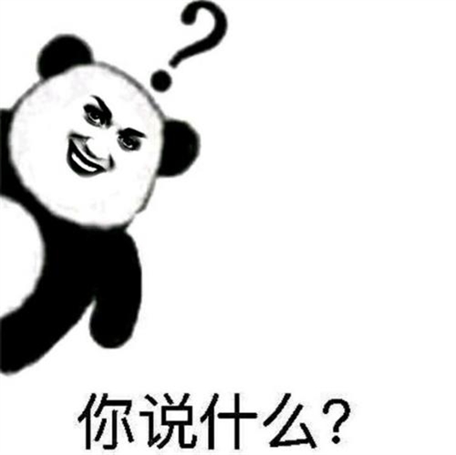 你说什么？表情