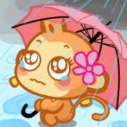 微信很火的猴子头像(20张)