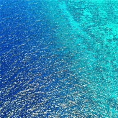 简约大气的微信头像(优选34张)