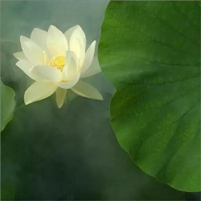 独特头像简单干净(共32张)