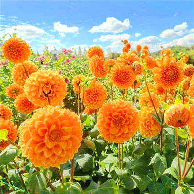 2023年最火最好看的微信头像(共24张)