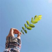 2023会带来好运的微信头像图片(24张)