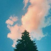 50岁有气质女人头像(精选34张)
