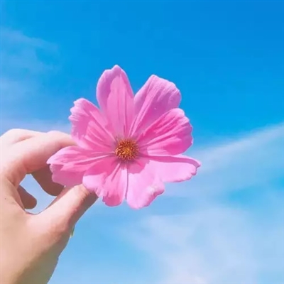 最适合微信头像的图片(优选20张)