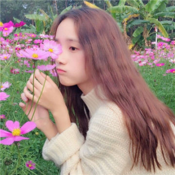 花束挡脸头像女(16张)