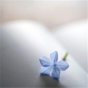 微信头像干净有深度(22张)