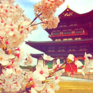 2023高雅有内涵的微信头像(优选18张)