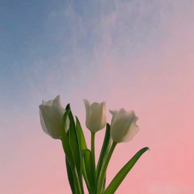适合做抖音头像的风景图片(精选24张)