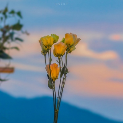 永久吸引人的头像(共20张)