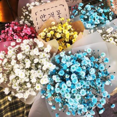2023带来好运的微信头像花(共22张)
