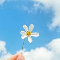 2023带来好运的微信头像花(共22张)
