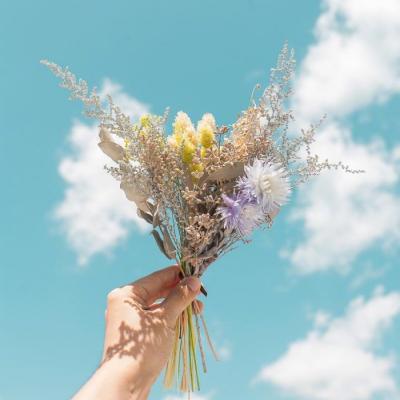 2023带来好运的微信头像花(共22张)