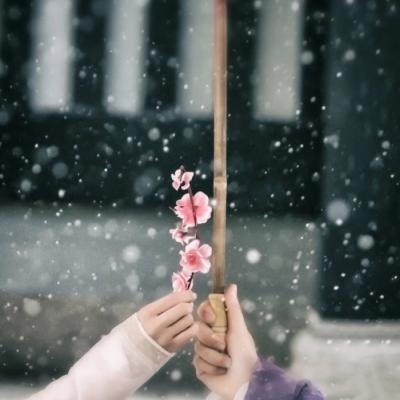 2023带来好运的微信头像花(共22张)