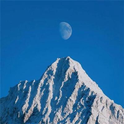 40岁稳重大气的微信头像(精选22张)