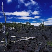 五十岁最漂亮的女人头像大全(优选18张)