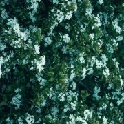 中年女人高雅微信头像(优选18张)