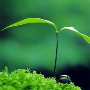 微信头像有朝气的图片(优选20张)
