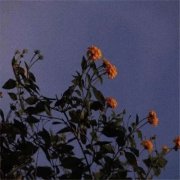 适合妈妈们用的微信头像(38张)