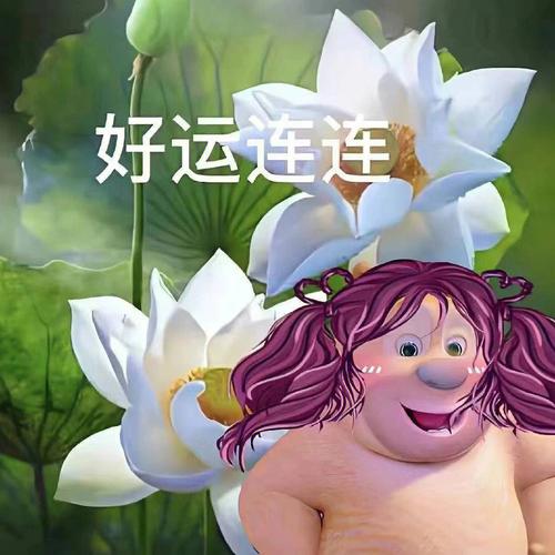 好运连连头像莲花(优选9张)